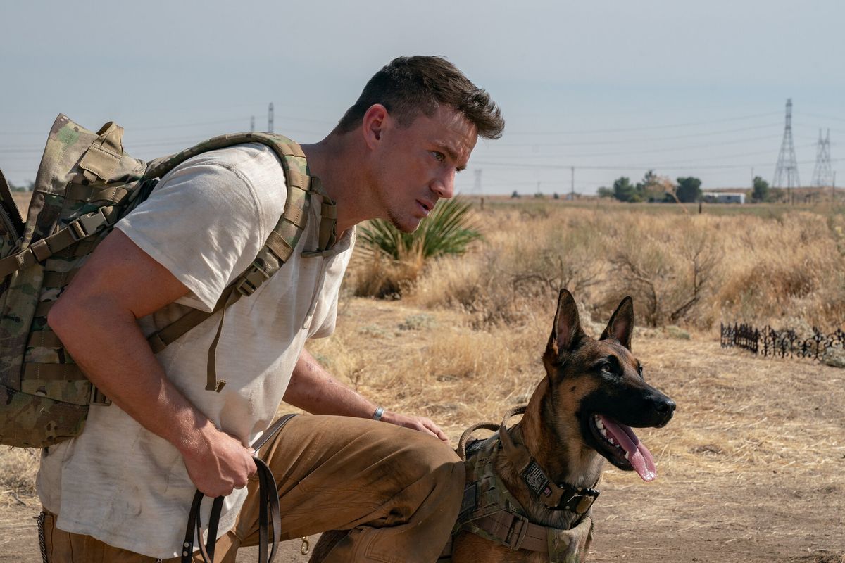 Channing Tatum stars in “Dog.”   (Hilary Bronwyn Gayle / MGM Pictures)