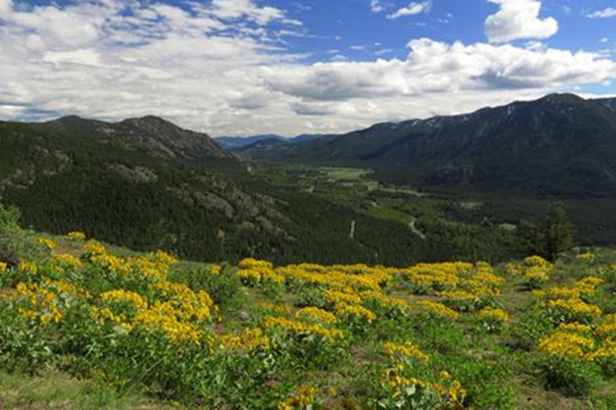 The view from Flagg Mountain into the watershed of the Methow River would be protected from mining under legislation proposed by Sens. Patty Murray and Maria Cantwell.
 
 (Jason Paulsen)
