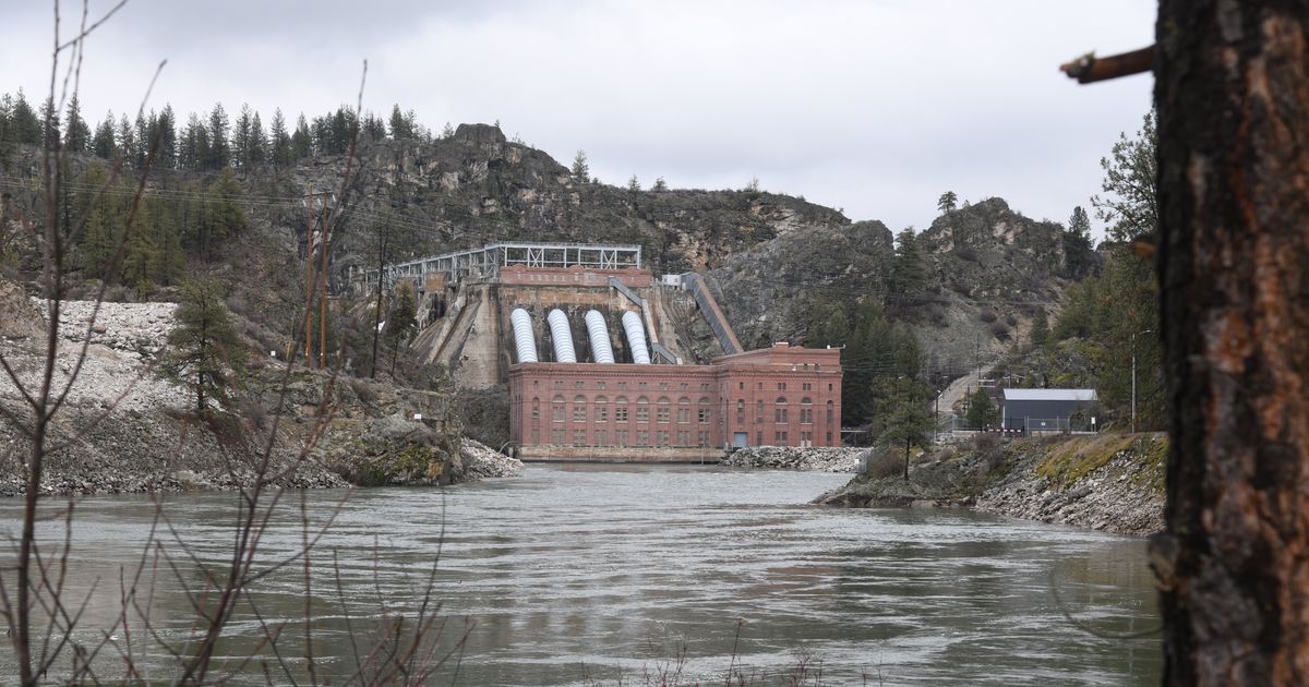 Thousands of fish were found dead in the Spokane River near Long Lake Dam