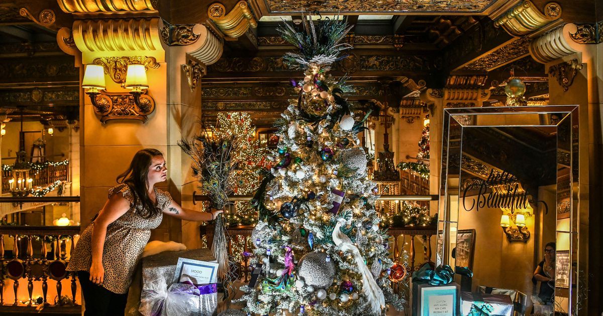 'A dream for a dollar' Christmas Tree Elegance raffle returns to