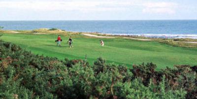 
Picturesque landscape is one thing the Royal Dornoch Golf Club, above, has in common with Circling Raven.
 (File/Associated Press / The Spokesman-Review)