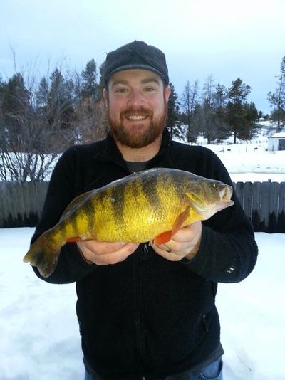 Luke Spaete of Boise on Feb. 15, 2014, was fishing in Lake Cascade when he caught a new Idaho state-record perch that weighed 2 pounds 10.88 ounces, topping the old record of 2 pounds 9.6 ounces. (Mike Kosinski)