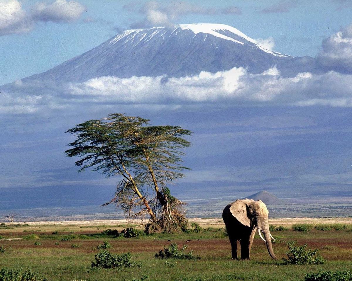 Mount Kilimanjaro stands tall above the plains as Buddy and Keith Slater of Spokane arrive in Tanzania to climb the mountain, elevation 19,341 feet.