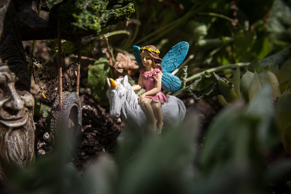 An element of Marsha Sapino’s elaborate fairy garden display is seen on her property in Hauser, Idaho, on Thursday. Sapino spent a few weeks clearing space in the tiered garden to plant succulents and install lighting and various fairy houses and mystical figurines in this miniature kingdom.  (Libby Kamrowski/The Spokesman-Review)