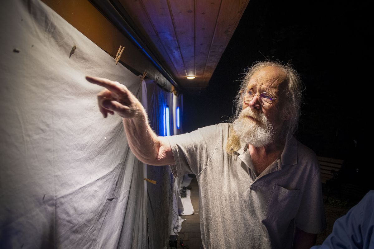 Carl Barrentine examines a moth attracted to one of his ultraviolet lights on Sept. 1, 2022, in his Spokane backyard.  (Colin Tiernan/The Spokesman-Review)