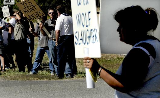 Wolf hunt foes, supporters say science backs them up