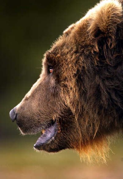 

 (File / The Spokesman-Review)