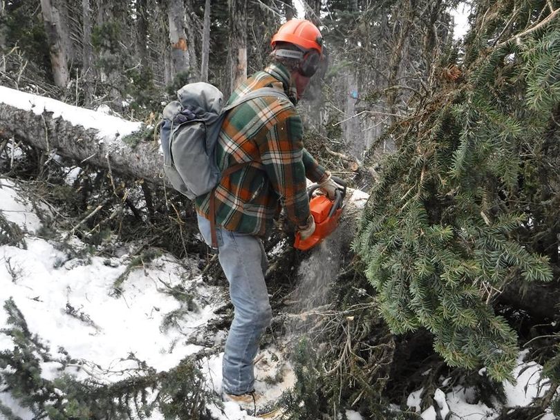 Volunteer Cris Currie clears blowdown trees on Trail 140, a popular hiking and snowshoeing route in Mount Spokane State Park.