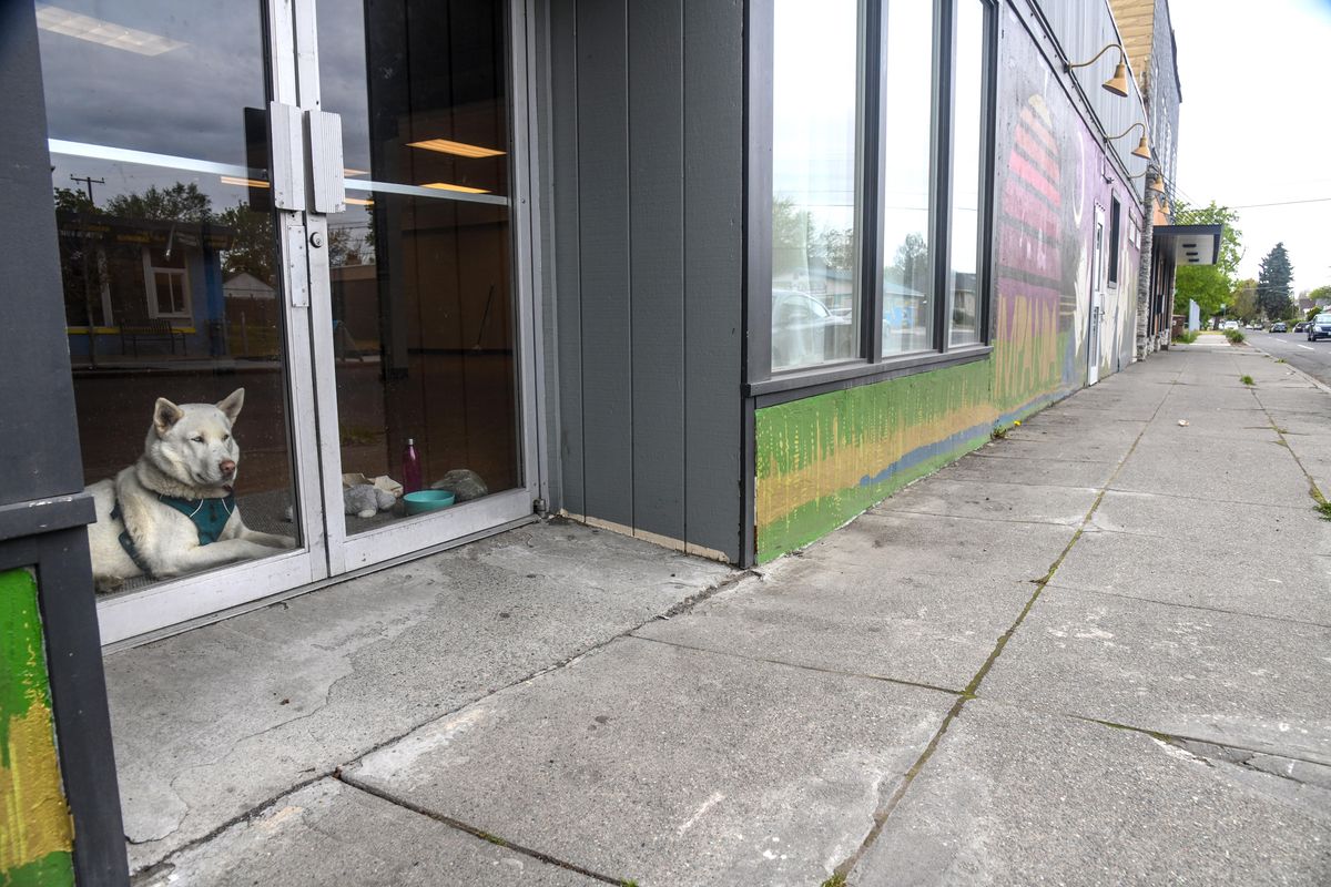 A dog watches the world roll by at the corner of Fifth Avenue and Fiske Street on Friday. The city is planning to bring some of the same kind of infrastructure and neighborhood development work to East Fifth Avenue in East Central that it has on South Perry and North Monroe.  (DAN PELLE/THE SPOKESMAN-REVIEW)