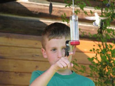 
Eight-year-old Zane Ramsden is shown June 2 standing at his family's hummingbird feeder in Elk, with a hummingbird perched on his finger. Two hummingbirds were fighting over the feeder, the second is seen in the upper right corner of the photo.   Courtesy of Sarah Ramsden
 (Courtesy of Sarah Ramsden / The Spokesman-Review)