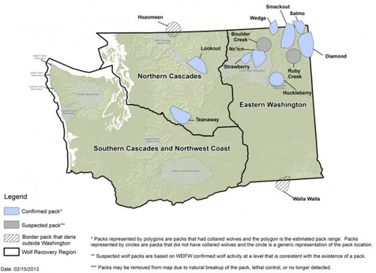 Washington Wolf Packs Detailed 