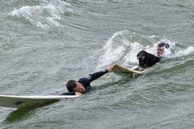 
Joe Riopelle, left, pulls in Matt Smolenski and a dog he rescued Tuesday  off the Grand Haven, Mich., pier. Smolenski rode a wave on his stomach to reach  the  dog after it  was swept into Lake Michigan. Associated Press
 (Associated Press / The Spokesman-Review)