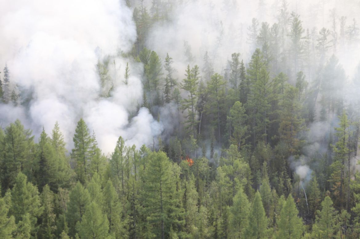 Meteorologist: Russia wildfires linked to climate change | The ...