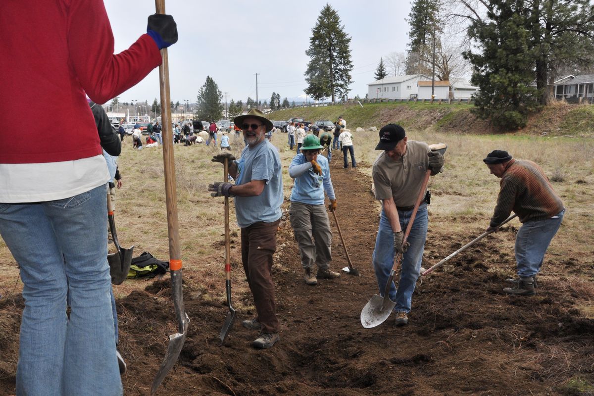 Chris Kopczynski, center right, works his shovel on a new trail with a group of volunteers during the community work project at the Dishman Hills Natural Area on Saturday, April 9, 2011. More than 330 people volunteered to help. The event was sponsored by REI and several outdoor groups. (Rich Landers)