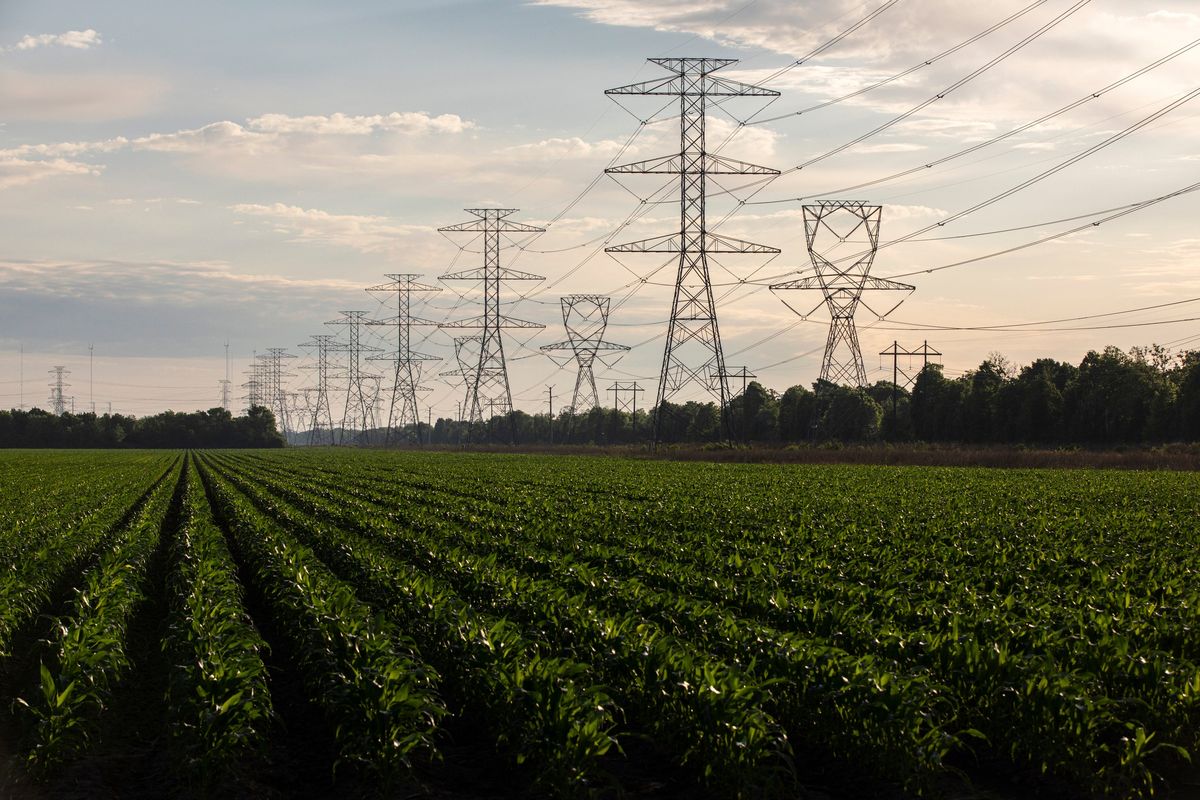 Transmission towers carry power lines through farmland in Fort Bend County, Texas, in April 2021.  (New York Times)