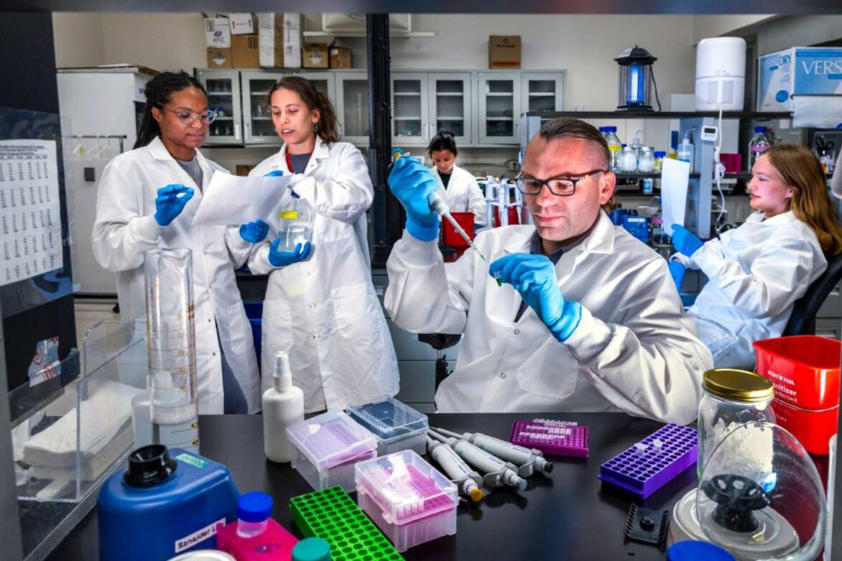Dr. Lukasz Sznajder sets up the polymerase chain reaction to detect RNA changes with the assistance of lab students as part of the Sznajder genetics lab at UNLV on April 30, 2025, in Las Vegas. From left, Daniela Hernandez Ensenat, Marcella Siqueira, Manisha Gun, Sznajder and Lil Costello. (L.E. Baskow/Las Vegas Review-Journal/TNS) (L.E. Baskow/Las Vegas Review-Journal/TNS)