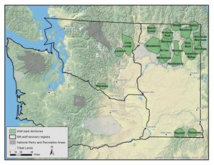 Washington officials confirmed a minimum of 20 gray wolf packs in the state at the end of 2016. (Washington Department of Fish and Wildlife)
