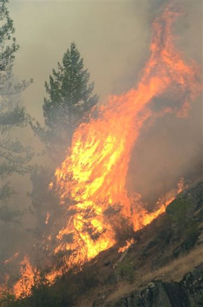 Fire consumes trees along the Clearwater River in north-central Idaho on Saturday.
 (AP/Lewiston Tribune / Barry Kough)