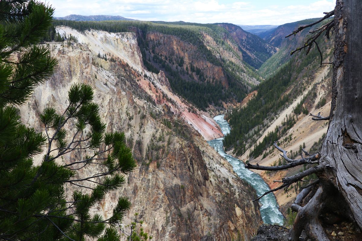The pink and yellowish walls of the Grand Canyon of the Yellowstone.   (Alex Pulaski/For the Washington Post)