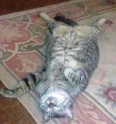 Thor's near death experience