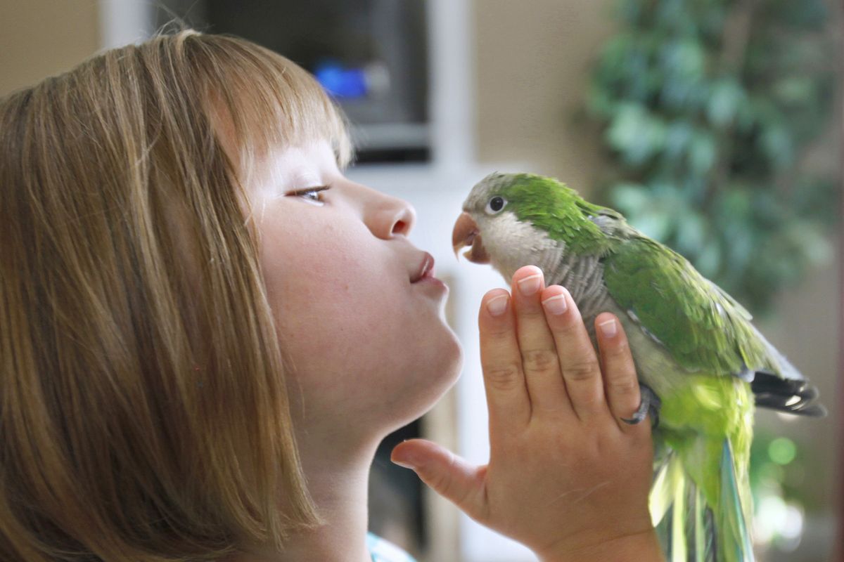 Karli Bossman, 8, of Clayton, N.C., plays with a pet at her home recently. Karli has suffered with a little-known illness called PANDAS, which is triggered by strep infections and causes disorders such as OCD symptoms.