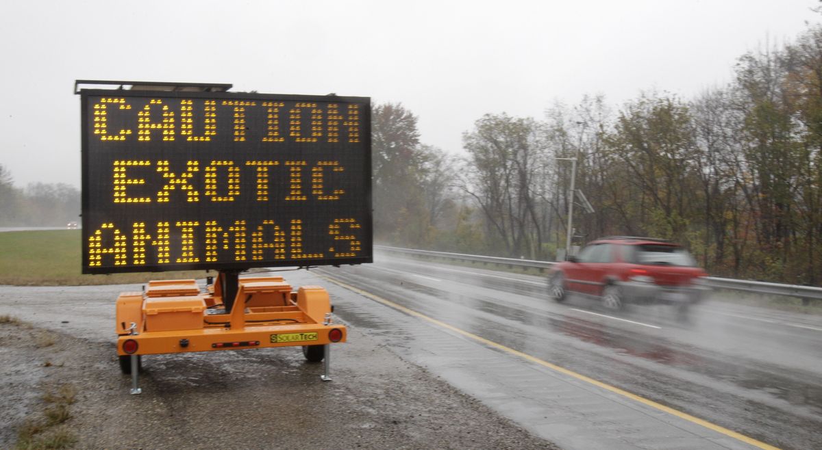 A sign warning motorists that exotic animals are on the loose rests on I-70 Wednesday near Zanesville, Ohio. (Associated Press)