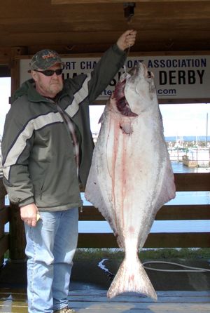 Westport Catch of the week ending May 15, 2011, is this 64-pound halibut caught by Donald Engle of Spokane on May 10th. The fish won the daily Westport charterboat Association Derby prize of $500 and is the leader for the $1,000 additional season prize. (Westport Charter Service)
