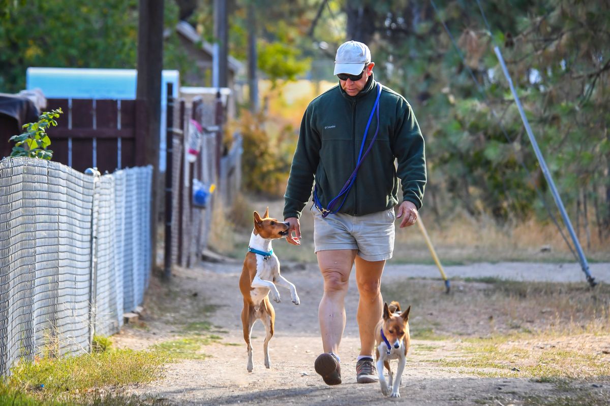 David DeLong, a member of the Friends of the South Hill Dog Park, walks his Basenji dogs, Zuko, left, and Valeri, around the park Sept. 20, 2018.  (Dan Pelle/THE SPOKESMAN-REVIEW)