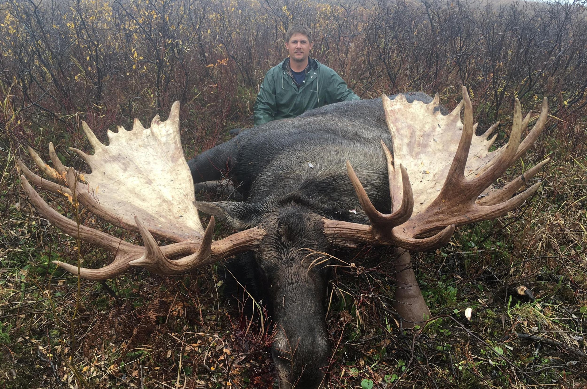 Alaska moose huge in every way The SpokesmanReview