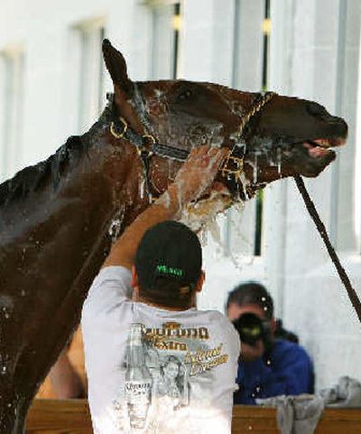 
Barbaro is given a bath after a Thursday morning workout.
 (Associated Press / The Spokesman-Review)