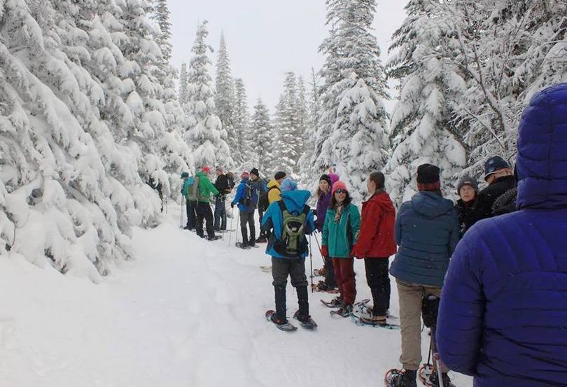 A group of snowshoers explores Mount Spokane during a First Day Hike at the state park on Jan. 1, 2015. (Holly Weiler)