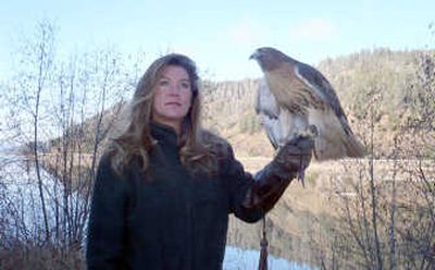 
Jane Cantwell, shown with a red-tailed hawk, is leading an effort to build a raptor center at Wolf Lodge Bay. 
 (JACOB LIVINGSTON / The Spokesman-Review)
