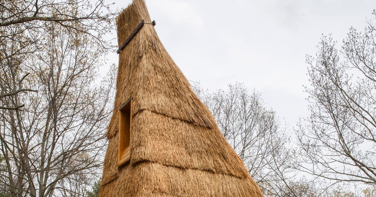Beware of wolves, but straw houses could help with climate change