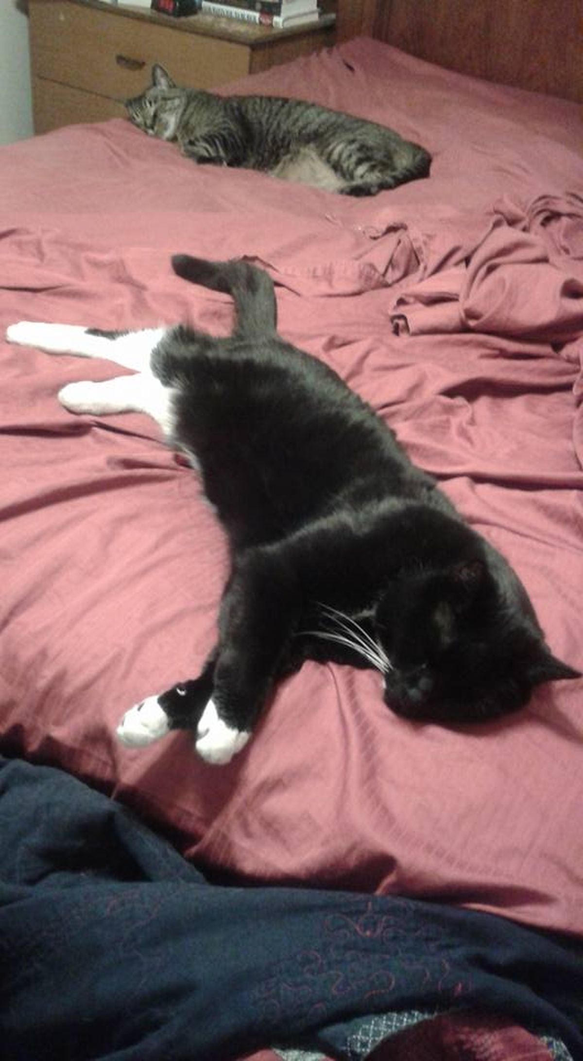 What happens if you don't make your bed? The SpokesmanReview