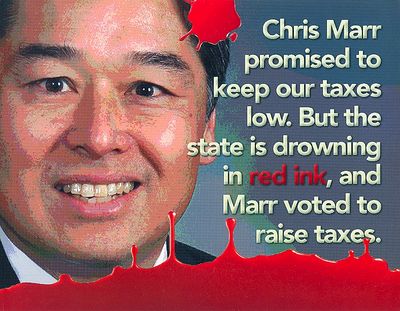 This flyer sent by the Washington State Republican Party in opposition to state Sen. Chris Marr, D-Spokane, was mailed before the August 2010 primary.