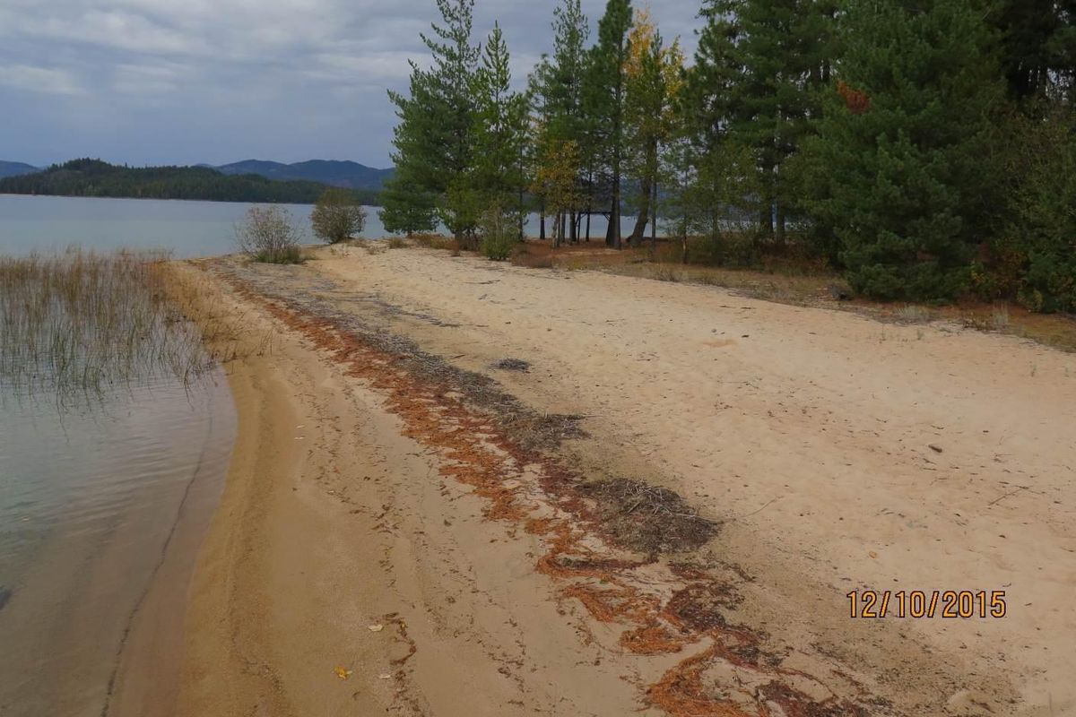 Sandy beach at Priest Lake cabin site that drew competitive bidding over the weekend, and sold for more than $1 million