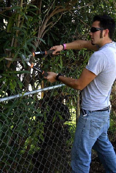 
Trimming the shrubbery around your home also is a good way to help keep burglars out. This discourages burglars because they know others are more likely to see them.
 (File Photo / The Spokesman-Review)