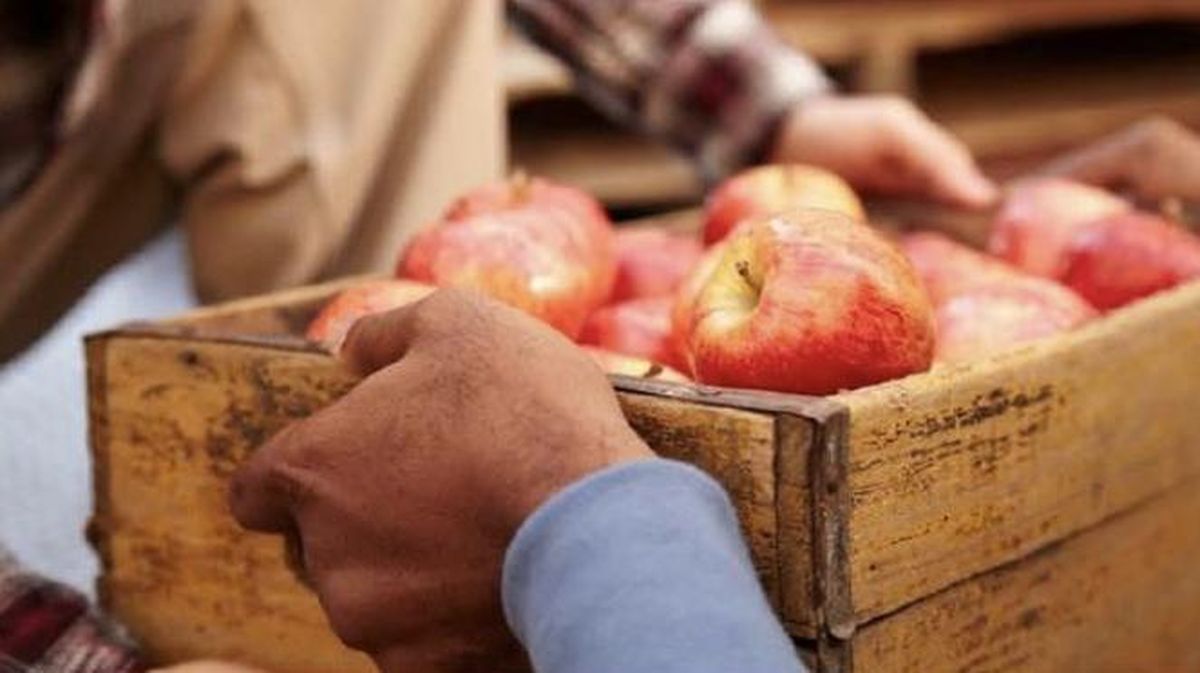 Kaiser Permanente’s Lidgerwood Medical Center is distributing free food