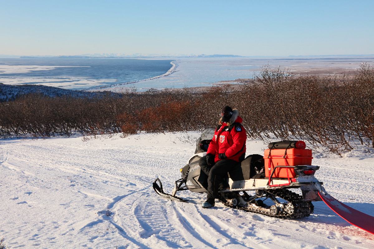 Snowmobiler Josh Rindal pauses on the Iditarod Trail in the Blueberry Hills, looking down onto the open ocean and the Shaktoolik Spit.  
 (Robert Jones)