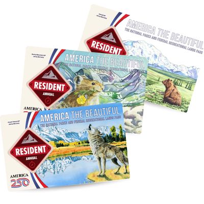 Colorado artist Jenny McCarty's custom National Parks-pass stickers cover President Donald Trump's face on the 2026 designs.   (Jenny McCarty/TNS)