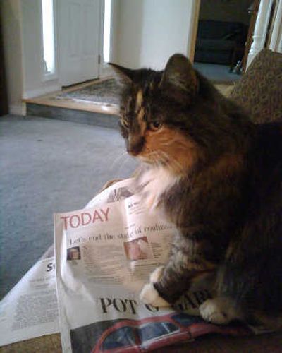 
Callie is ready to move on.  Courtesy of Laura Cook
 (Courtesy of Laura Cook / The Spokesman-Review)