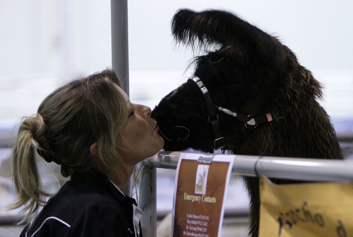 A kiss is just a kiss - Feb. 9, 2013 | The Spokesman-Review