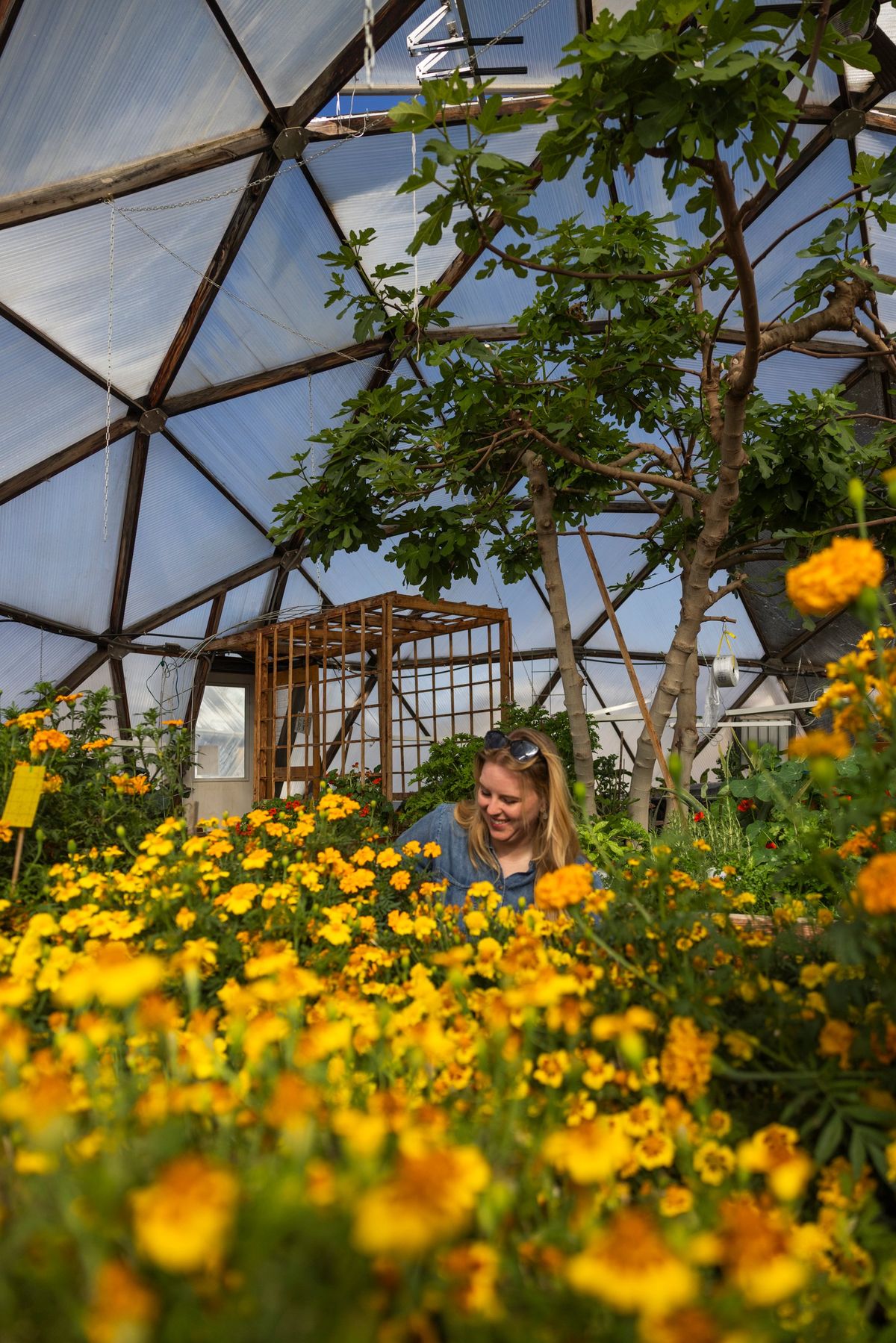 Laura Hamilton collects roly-polies to prevent them from eating the produce growing in a geodesic domed greenhouse in Pagosa Springs, Colorado. MUST CREDIT: Nina Riggio/For The Washington Post  (Nina Riggio/For The Washington Post)