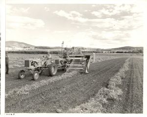 Bert and Ruth Porter’s Veradale Farm circa 1940. Photo courtesy the Spokane Valley Heritage Museum. (Photo courtesy the Spokane Valley Heritage Museum)