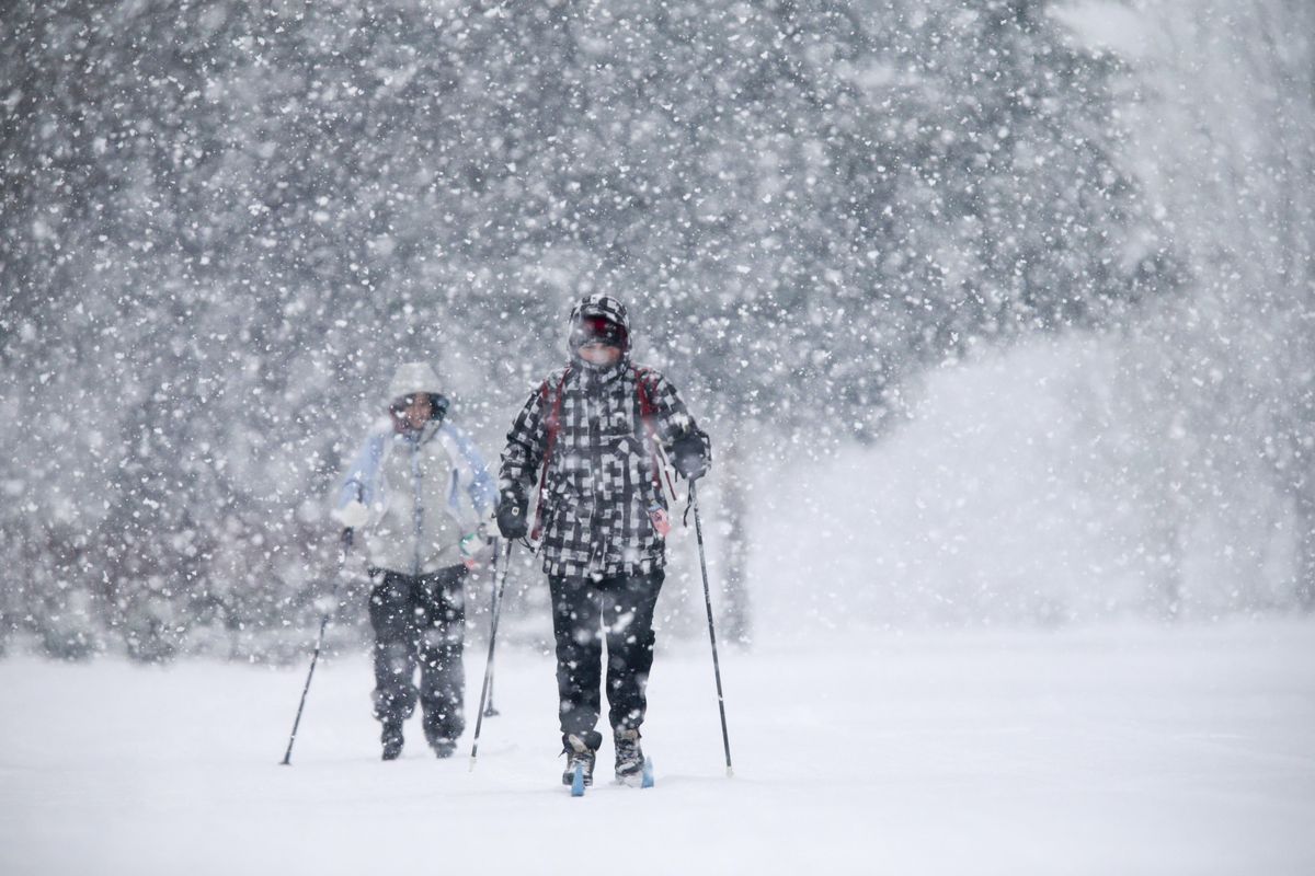 As snow continues to fall in Eugene Ore., Erik Berg-Johansen, right, and wife Valerie Berg-Johansen cross country ski to the store for some groceries along Sorrel Way on Saturday, Jan. 7, 2017. (Collin Andrew / AP)