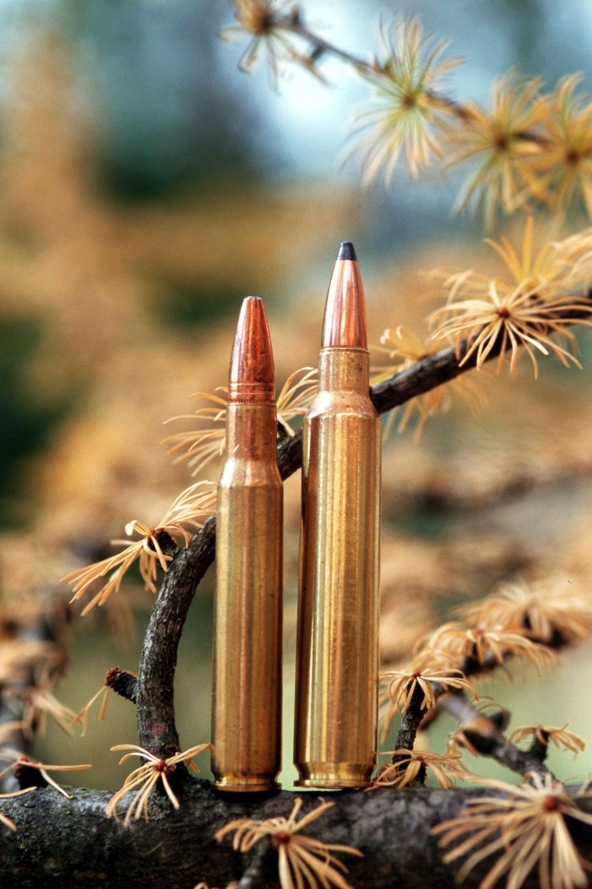 A .30-06 cartridge with a 180-grain bullet is dwarfed by the same size bullet in a .300 Remington Ultra Mag Cartridge. (Rich Landers / The Spokesman-Review)