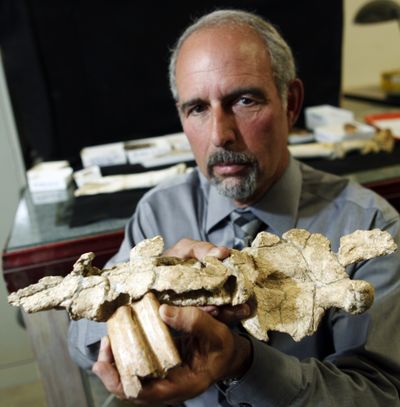 Rick Greenwood, with Southern California Edison, holds the fossilized jawbone and two teeth of a giant sloth, in Riverside, Calif., on Monday.  (Associated Press)