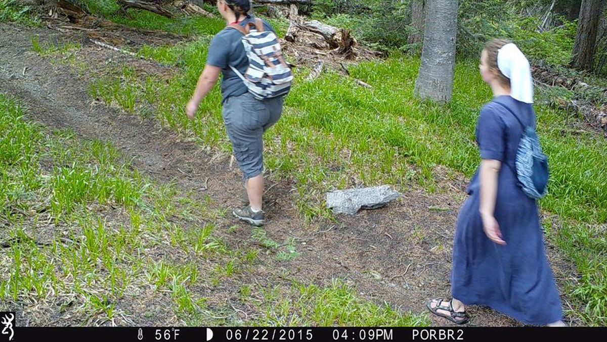 A bear triggers the motion-activated shutter of a wildlife research trail camera set up by biologists just four minutes behind hikers on a trail in Pend Oreille County.