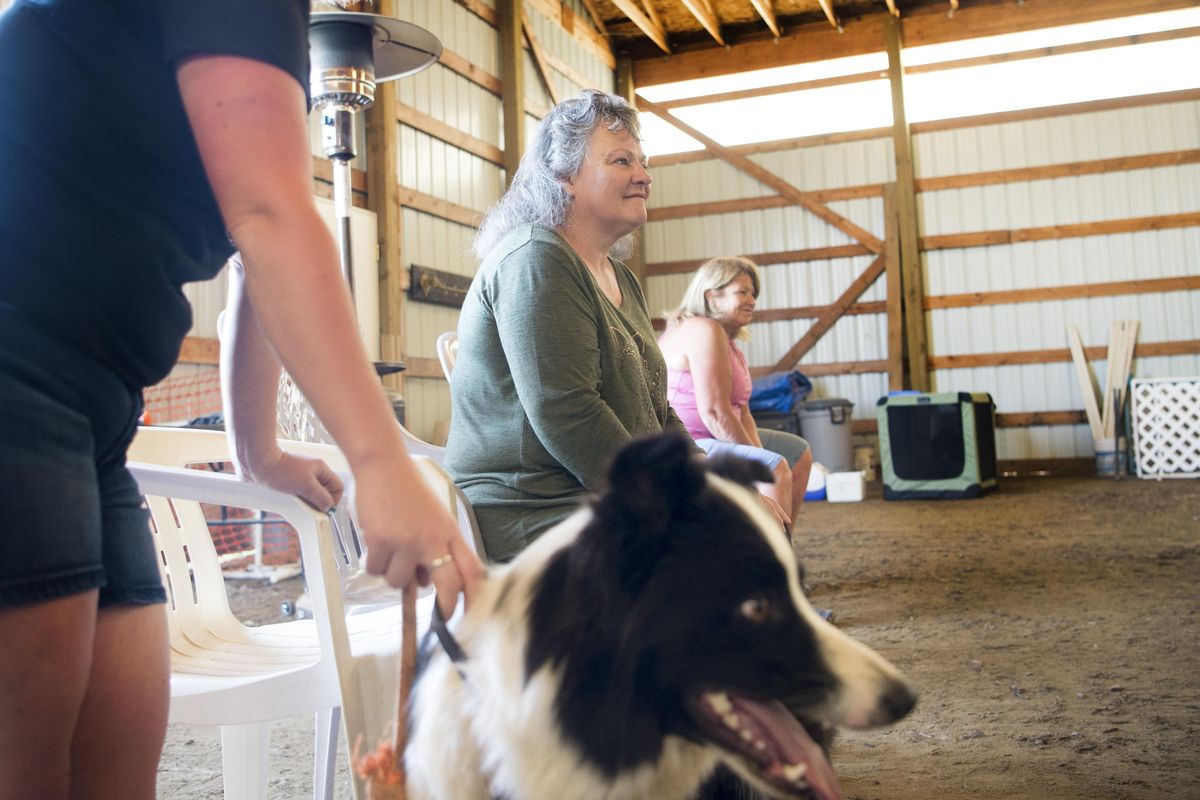 Penney Morse, center, works with dogs on May 18, 2016, at Sunara Dog Training in Deer Park, Wash. (Tyler Tjomsland / The Spokesman-Review)