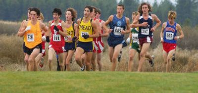 
The pack starts to thin at the boys 4A cross country Eastern Regional race at Deer Park Golf Course on Saturday. Mead fought off Ferris to claim the top spot, and Lewis and Clark finished third. 
 (Kathryn Stevens / The Spokesman-Review)